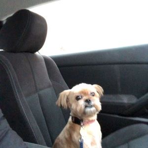 Meet your Posher, Zack